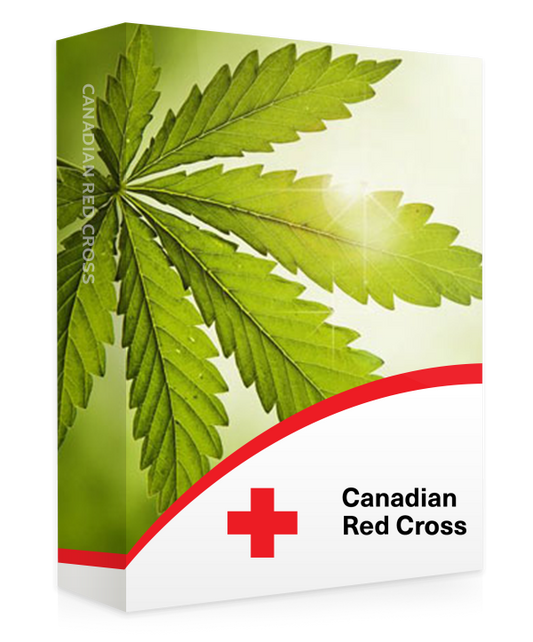A photograph of the cover of a textbook on cannabis impairment training in the workplace displaying cannabis leaves. The course features relevant imagery and text, likely including information on recognizing and addressing cannabis impairment, workplace policies, and safety protocols. This image represents a valuable resource for employers and employees seeking education on managing cannabis-related issues in a professional setting.