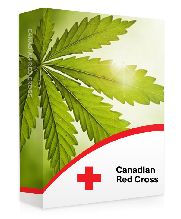 A photograph of the cover of a textbook on cannabis impairment training in the workplace. The cover features relevant imagery and text, likely including information on recognizing and addressing cannabis impairment, workplace policies, and safety protocols. This image represents a valuable resource for employers and employees seeking education on managing cannabis-related issues in a professional setting.