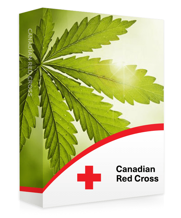 Cannabis in the Workplace: Impairment Awareness Training for Workers - KMW Outreach Inc.
